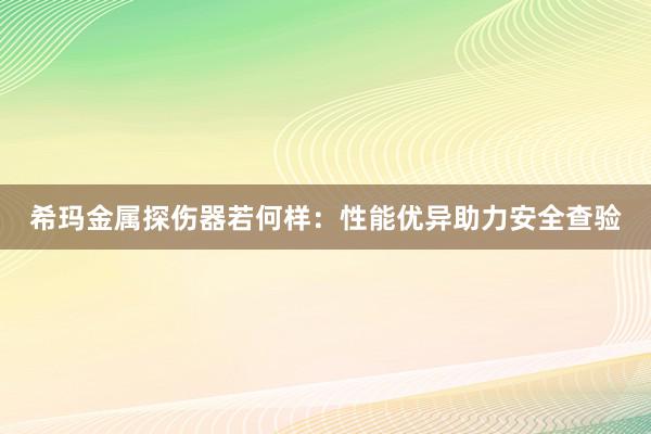希玛金属探伤器若何样：性能优异助力安全查验