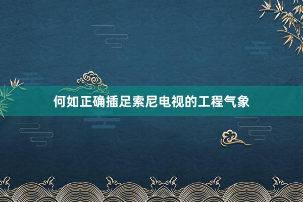 何如正确插足索尼电视的工程气象