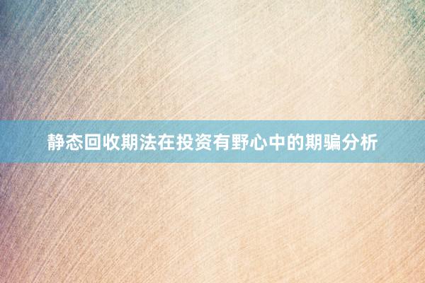 静态回收期法在投资有野心中的期骗分析
